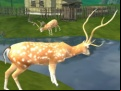 Juego Deer Hunting Sniper Shooting